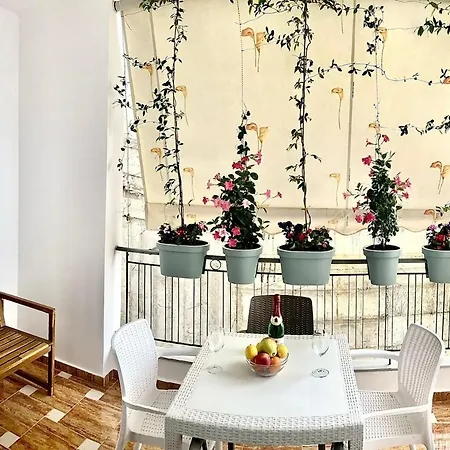 Paradise Apartment *