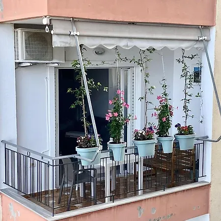 Paradise Apartment